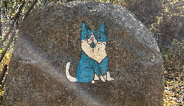 Олхинское плато: идеальное место для похода ПВД из Иркутска